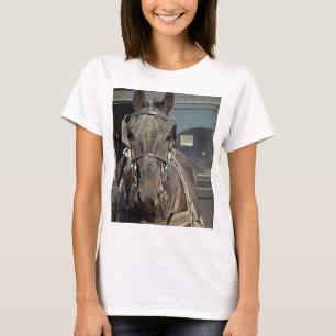Amish Buggy Pferd T-Shirt
