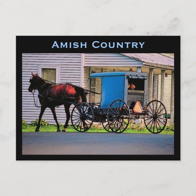 Amish Buggy Postcard Postkarte (Vorderseite)