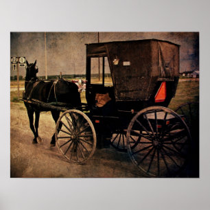 Amish Buggy Poster