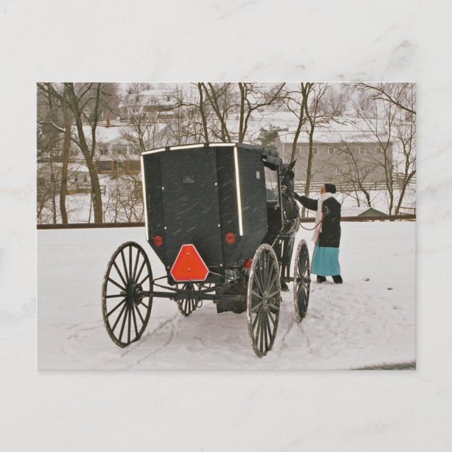 Amish Buggy-Postkarte Postkarte (Vorderseite)