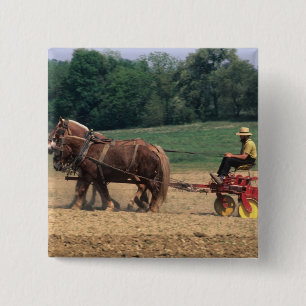 Amish Country einfache Menschen in der Landwirtsch Button