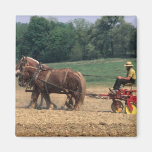 Amish Country einfache Menschen in der Landwirtsch Magnet