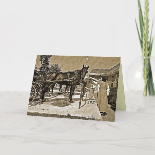 Amish Family Petting Horse Grußkarte Karte (Vorderseite)