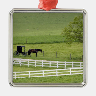 Amish-Farm mit Pferd und Kutsche nahe Berlin, Silbernes Ornament