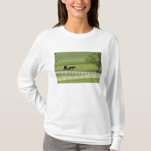 Amish-Farm mit Pferd und Kutsche nahe Berlin, T-Shirt