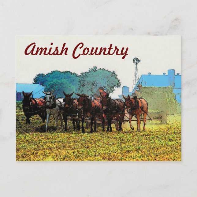 Amish Farm Postcard Postkarte (Vorderseite)