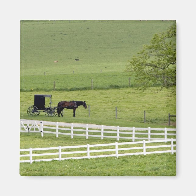Amish-Hof mit Pferd und Buggy in der Nähe von Berl Magnet (Vorne)