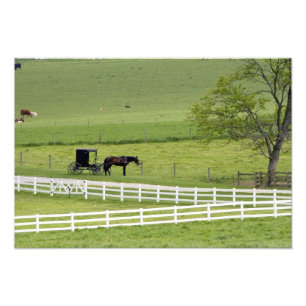 Amish-Hof mit Pferd und Kutsche nahe Berlin, Fotodruck
