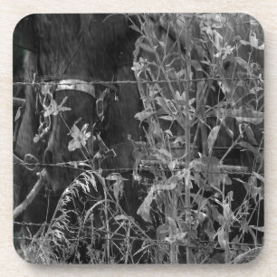 Amish Horse Black and White Grunge Getränkeuntersetzer