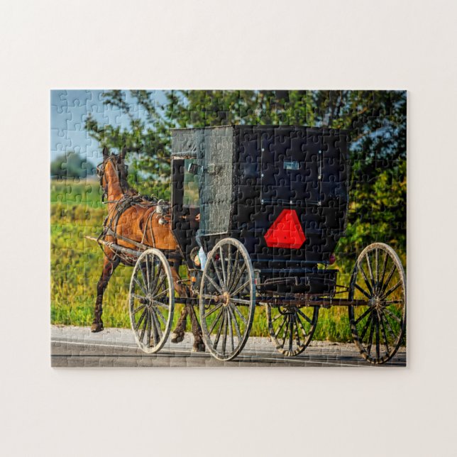 Amish Horse Buggy Indiana. (Horizontal)