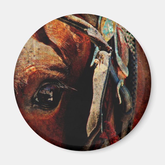Amish Horse Eye Magnet (Vorne)