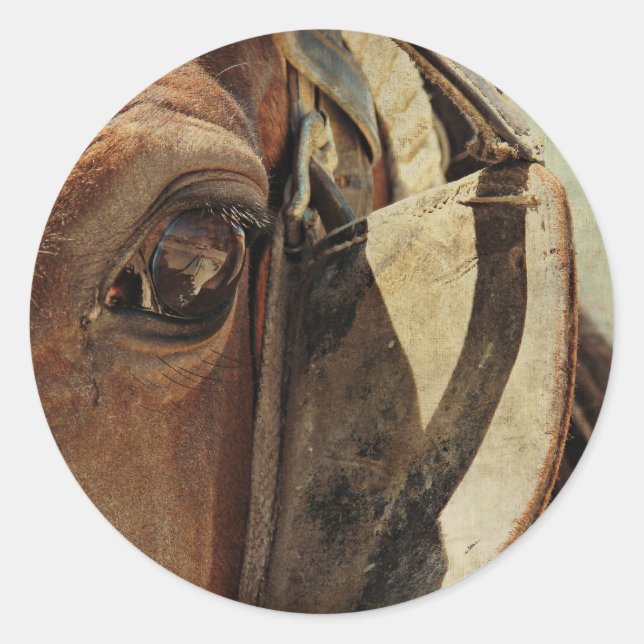 Amish Horse Eye Runder Aufkleber (Vorderseite)