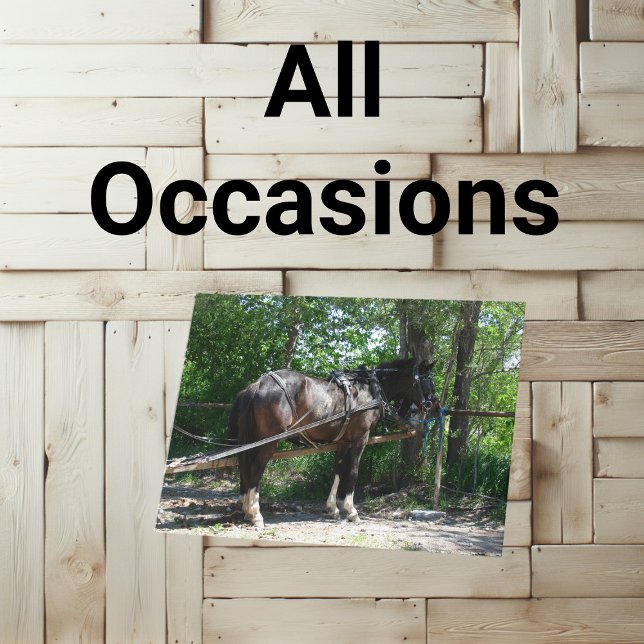 Amish Horse Gewartet geduldig Karte (A blank inside all occasions greeting card featuring a photo of an Amish horse )