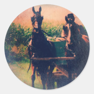 Amish Horse Team Runder Aufkleber