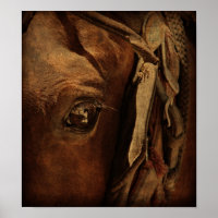 Amish Horse's Eye