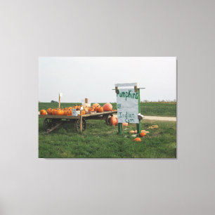 Amish-Kürbisfeld-Farm-Fotografie-Wandkunst Leinwanddruck