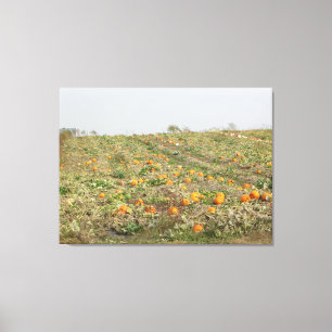 Amish-Kürbisfeld-Fotografie-Wandkunst Leinwanddruck