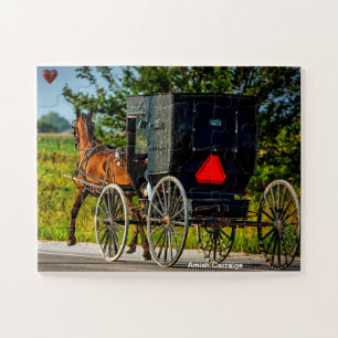Amish-Kutsche