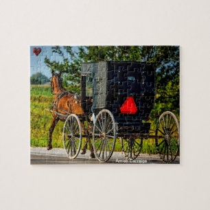 Amish-Kutsche