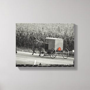 Amish-Kutsche Monochrom Leinwanddruck