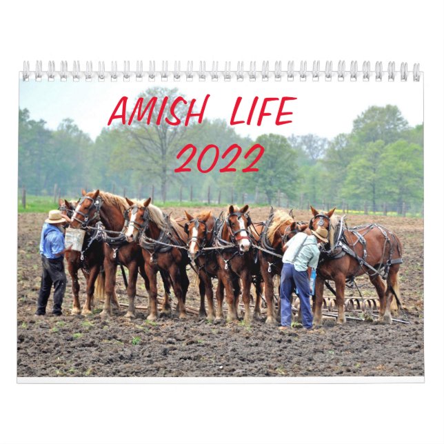 AMISH LIFE 2022      KALENDER (Titelbild)