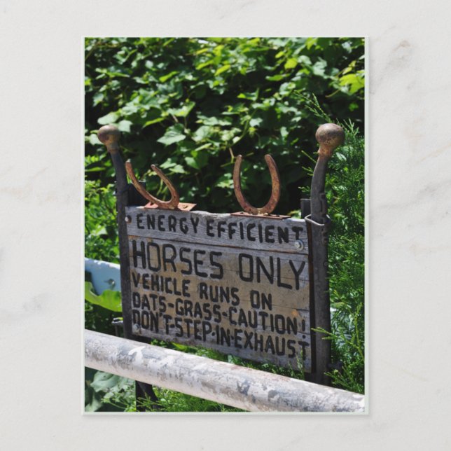 Amish Parking Postkarte (Vorderseite)