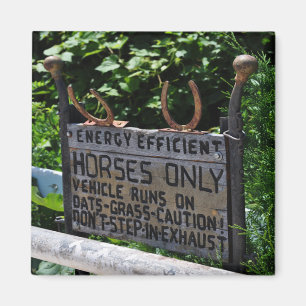 Amish Parking Sign Magnet