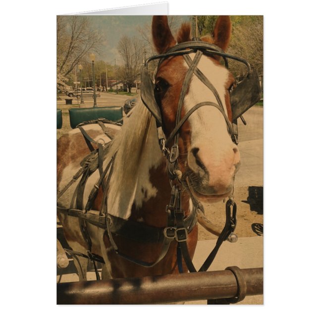 Amish Pferd, Ein Pin (Vorne)