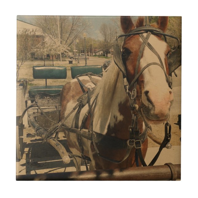 Amish Pferd, Ein Pin Fliese (Vorderseite)