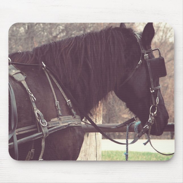 Amish Pferd Mousepad (Vorne)