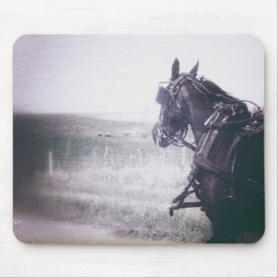 Amish Pferd Mousepad