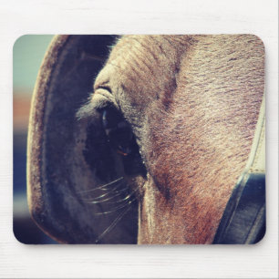 Amish Pferd Mousepad