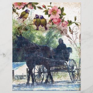 Amish Pferd und Buggy Birdie Texture