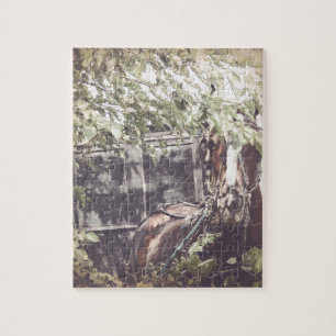 Amish Pferd und Buggy im Schatten