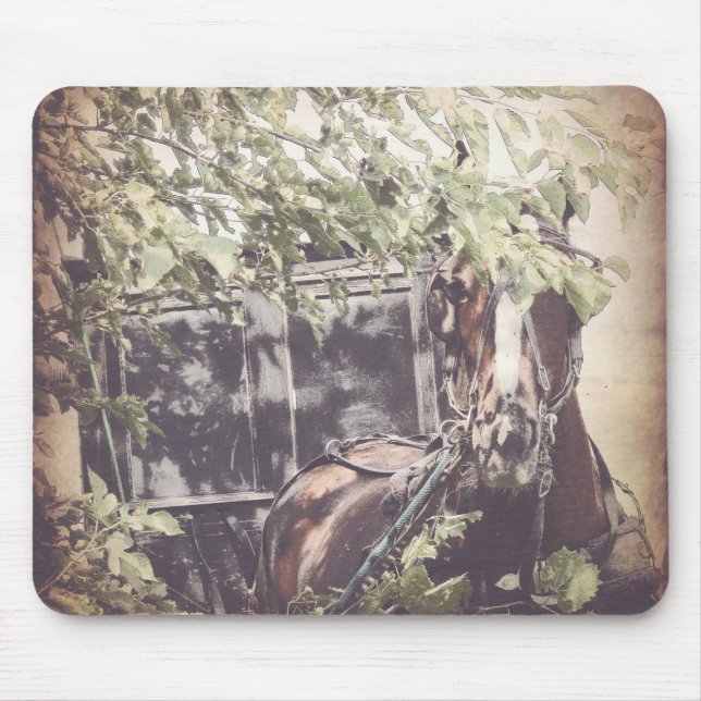 Amish Pferd und Buggy im Schatten Mousepad (Vorne)