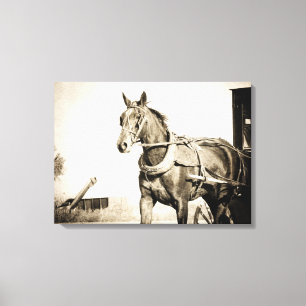 Amish-Pferd und Buggy in Sepia Leinwanddruck