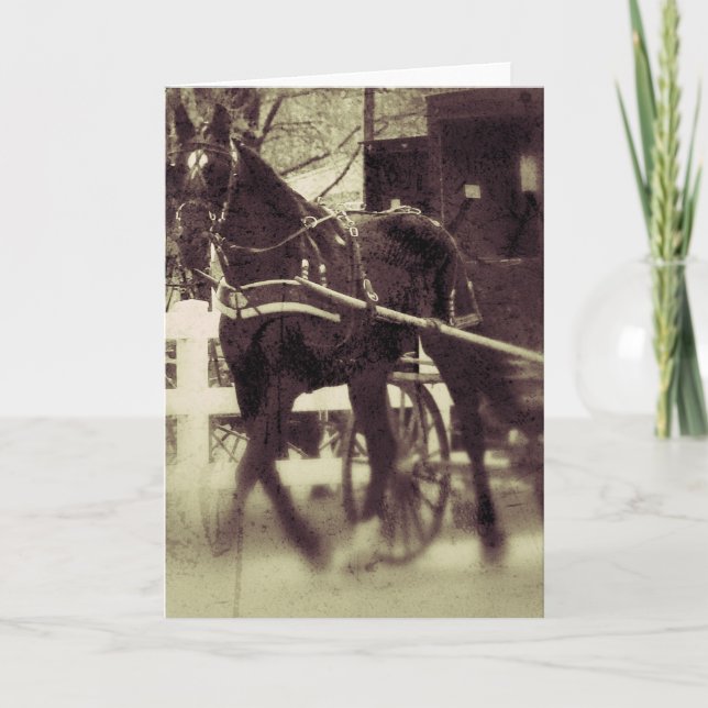 Amish Pferd und Buggy Rural Iowa Fotografie Karte (Vorderseite)