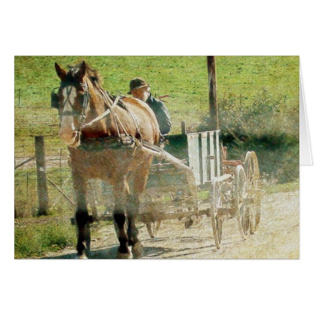 Amish Pferd und Warenkorb (Vorderseite (Horizontal))