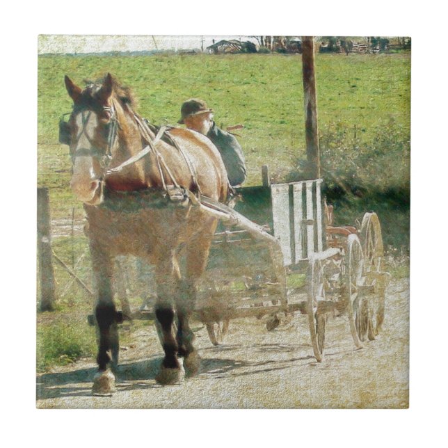 Amish Pferd und Warenkorb Fliese (Vorderseite)