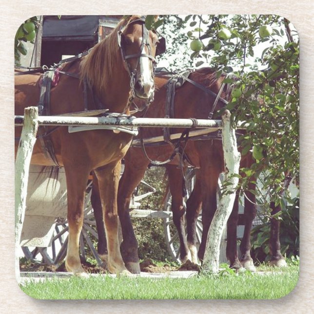 Amish Pferde an der Hitching Post rund um Äpfel Getränkeuntersetzer (Vorderseite)