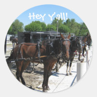 Amish Pferde sagen Hallo!