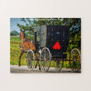 Amish Pferdekutsche Indiana. Weihnachten Pferdekut