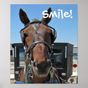 Amish Smile Poster