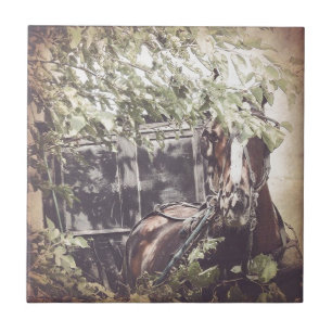 Amish Warten Horse Fliese