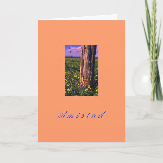 ‚Amistad‘ Feiertagskarte (Vorderseite)