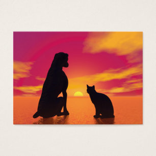 Amitié de chien et de chat au coucher du soleil