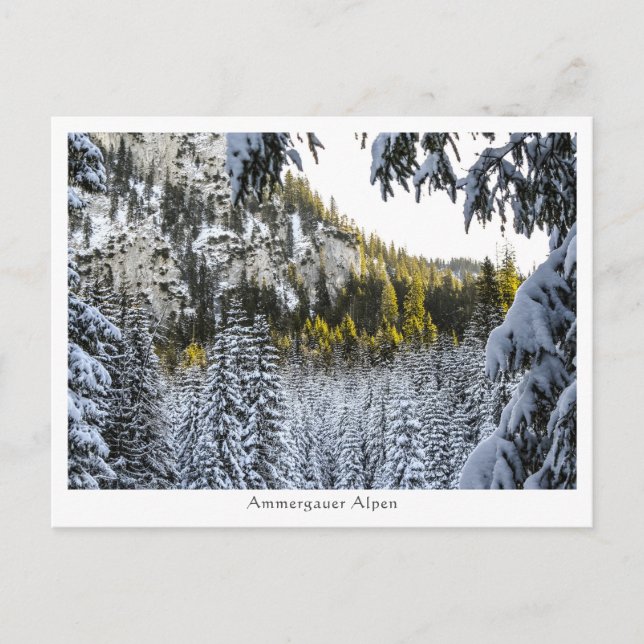 Ammergauer Alpen Postkarte (Vorderseite)
