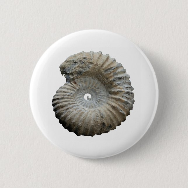 Ammoniit Button (Vorderseite)