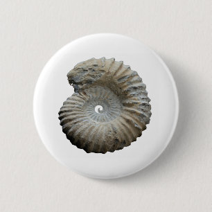 Ammoniit Button