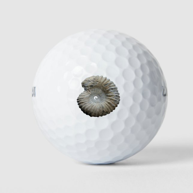 Ammoniit Golfball (Vorderseite)